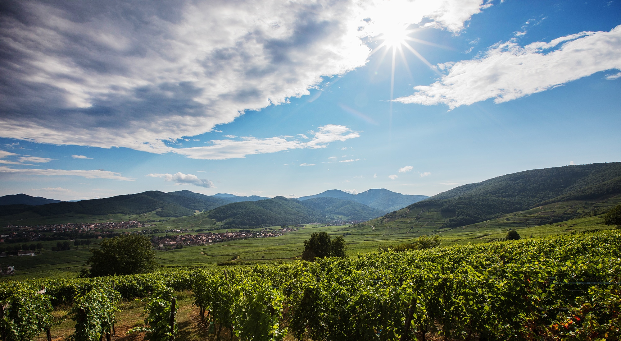 vignoble alsace photo video drone