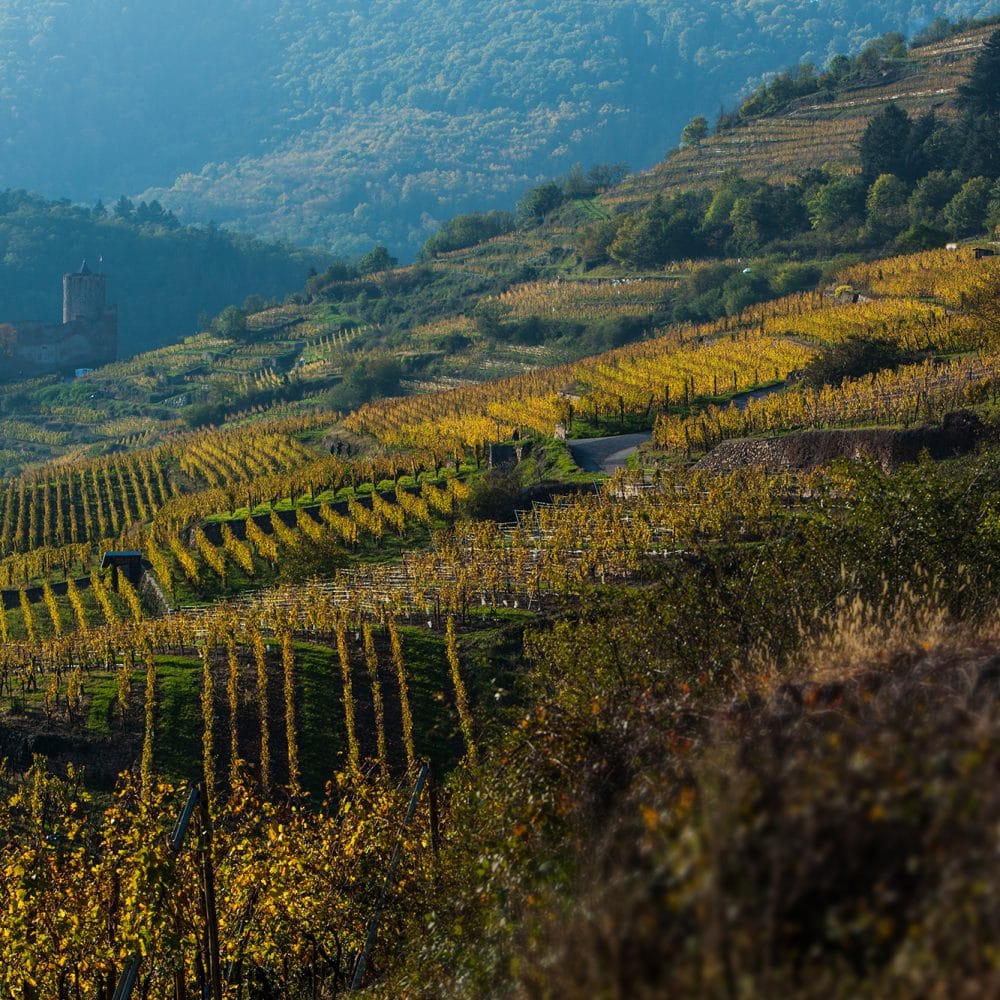 paysage weinbach